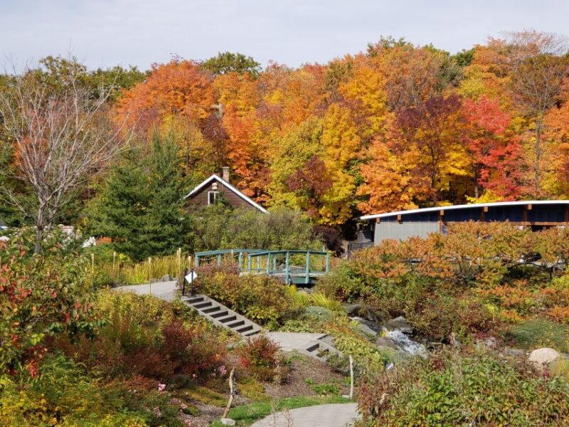 Quebec: Aquarium du Quebec Entry Ticket - Visiting During Construction: What to Expect