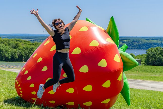 Quebec City - Agricultural Walking Tour on Ile d'Orléans - Key Points