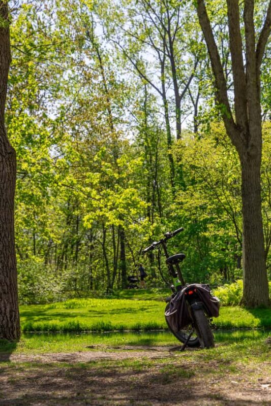 Quebec City: E-Bike Tour to Le Grand Marché - Food Scene - Key Points