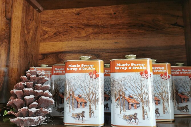 Quebec City - E-Tandem Rental on Ile d'Orléans - The Experience Provider and Customer Service