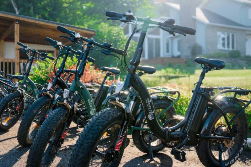 Quebec City: Electric Bike Rental on Ile d'Orléans - Stops for Tasting Local Farm Products and Souvenirs