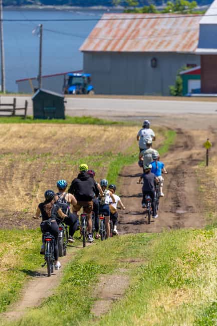 Quebec City: Electric Bike Rental on Ile d'Orléans - The Scenic Landscape and Key Photo Opportunities