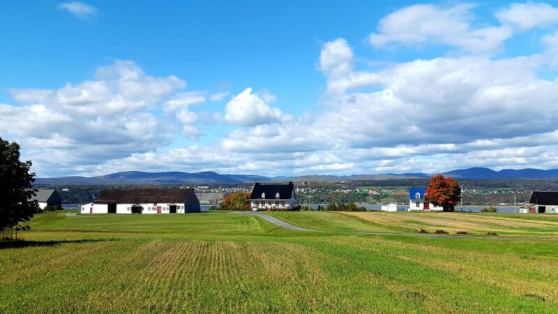 Quebec City: Electric Bike Rental on Ile d'Orléans - Pacing, Timing, and Who Will Enjoy This Tour