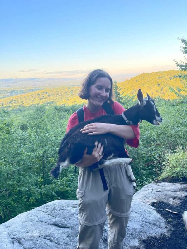 Quebec City: Guided Goat Hike & Beaver Dam Visit with Picnic - Friendly Pack Goats: Your Forest Hiking Companions