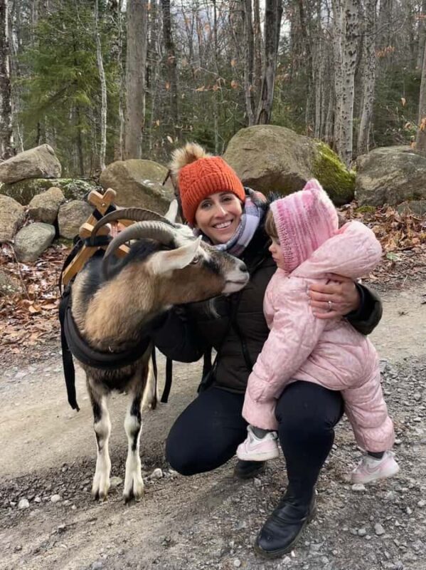 Quebec City: Guided Goat Hike & Beaver Dam Visit with Picnic - Visiting a Real Beaver Dam and Learning about Their Role