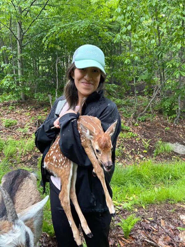 Quebec City: Guided Goat Hike & Beaver Dam Visit with Picnic - Logistics: How and When to Join