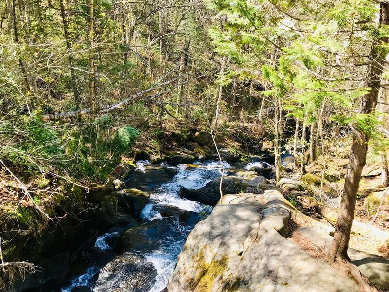 Quebec City: Guided Hike in Jacques-Cartier National Park - Who Should Consider This Tour?