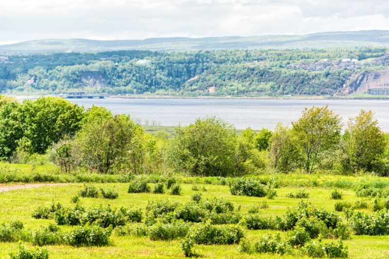 Québec City: Guided Sightseeing River Cruise - Québec City: Guided Sightseeing River Cruise – Final Thoughts