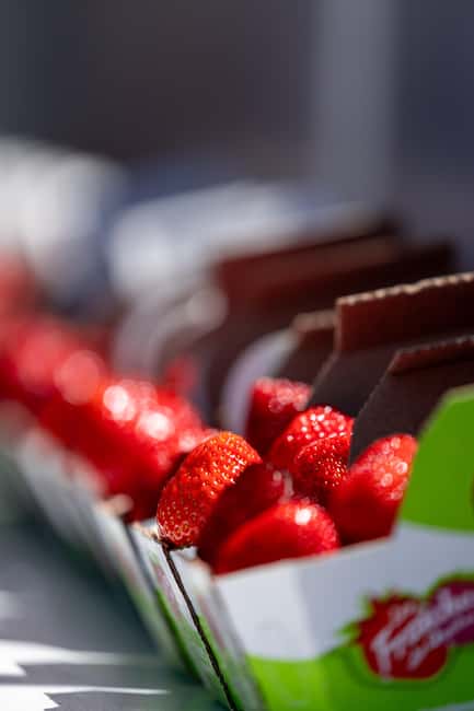 Quebec City: Ile d'Orléans Guided E-Bike Tour with Tastings - Physical Requirements and Accessibility