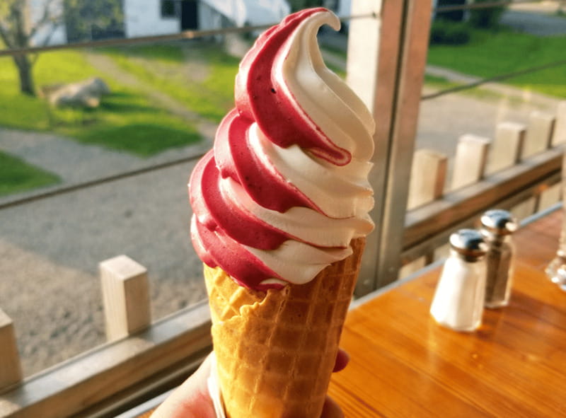 Quebec City: Island of Orléans Taste Trail - Tasting Local Cider at Cidrerie Bilodeau