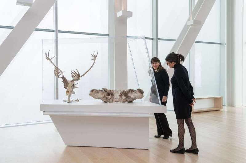 Quebec City: MNBAQ National Fine Arts Museum Entry Ticket - Key Points