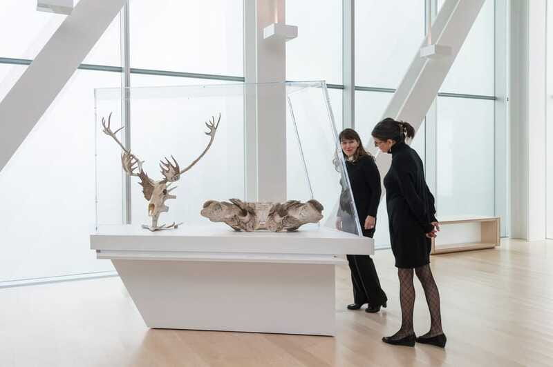 Quebec City: MNBAQ National Fine Arts Museum Entry Ticket - Navigating the Museum’s Meeting Point and Access