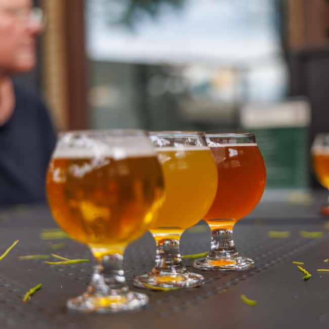 Quebec City: Montmorency Falls and Microbrewery eBike Tour - Riding Along the Corridor du Littoral with Water Views