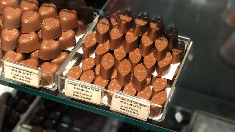 Quebec City - Regular Bike Rental on Ile d'Orléans - The Route and Landscape Highlights