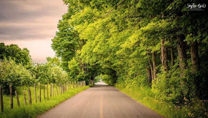 Quebec City - Tandem Bike Rental on Ile d'Orléans - Group Size and Multilingual Support