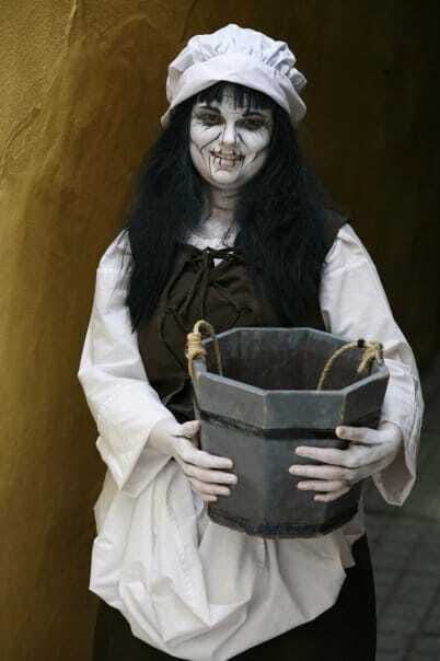 Quebec: Crimes of New France Animated Walking Tour - Practical Details: Meeting Point, Duration, and Accessibility