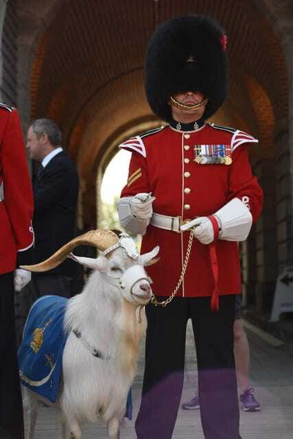 Quebec: La Citadelle de Québec Ticket and Guided Tour - The Views from the Fortress