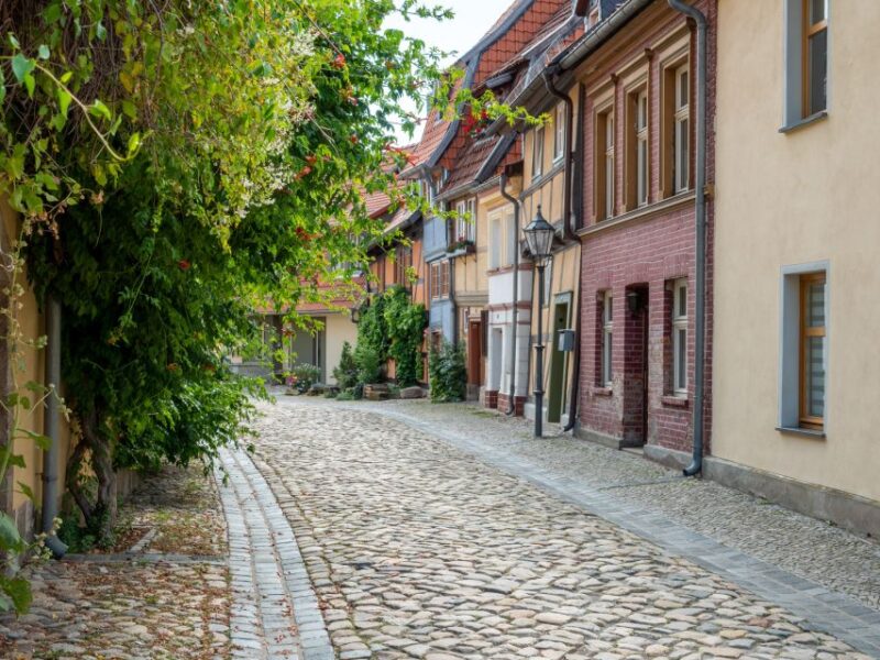Quedlinburg: Guided City Highlights Walking Tour - Practicalities: Meeting Point, Duration, and Accessibility