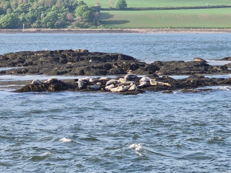 Queensferry: Sightseeing Cruise to Inchcolm Island - Who Will Enjoy This Tour Most?