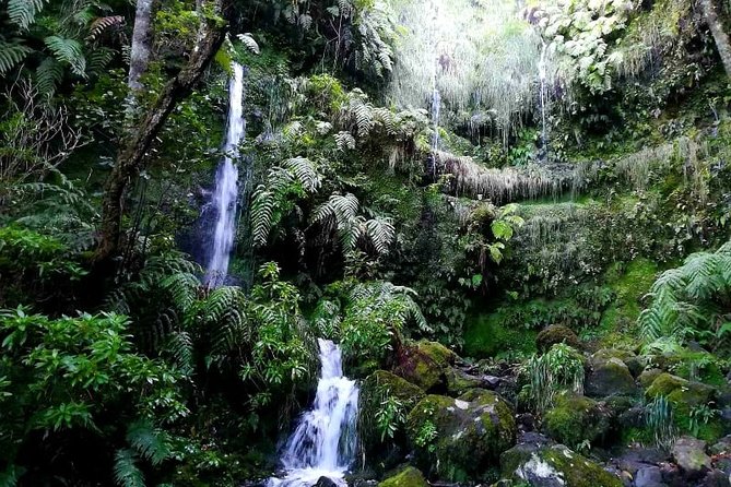 Queimadas-Caldeirão Verde - Practical Tips and Recommendations for the Hike