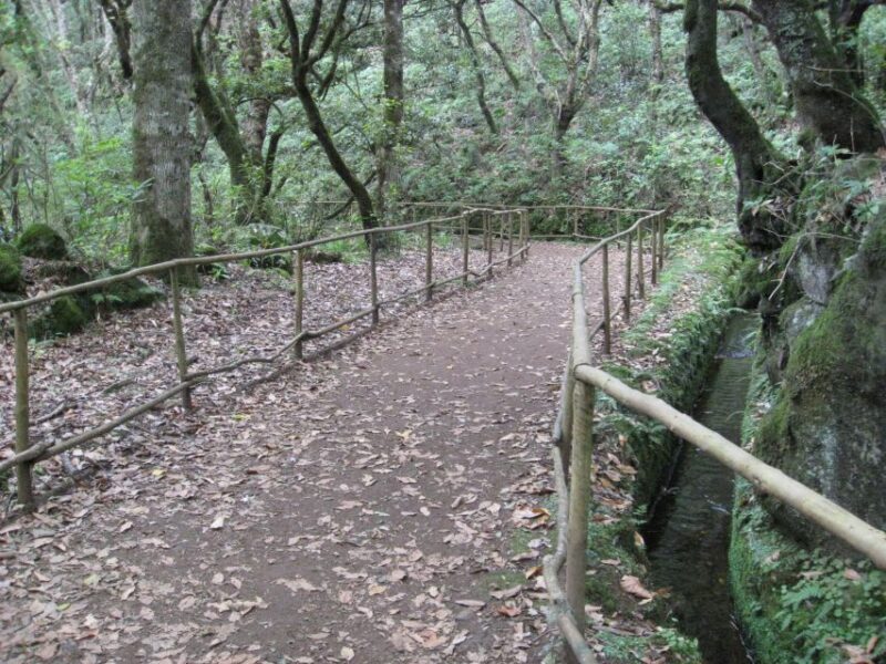 Queimadas Caldeirao Verde Full day hike - The Path to Caldeirão Verde Waterfall and Tunnel Crossings
