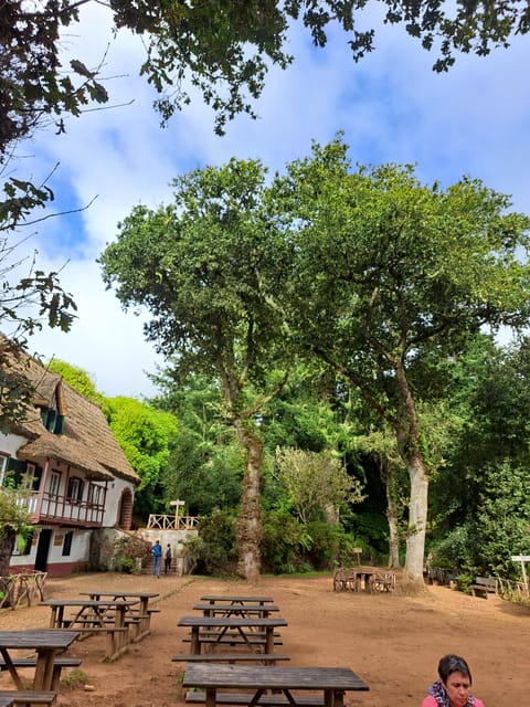 Queimadas Caldeirão Verde Walking tour with guide - The Moderate 13-Kilometer Levada Walk to Caldeirão Verde
