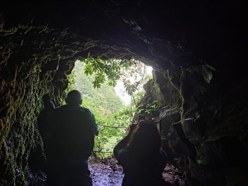 Queimadas Caldeirão Verde Walking tour with guide - Comparing Similar Experiences in Madeira