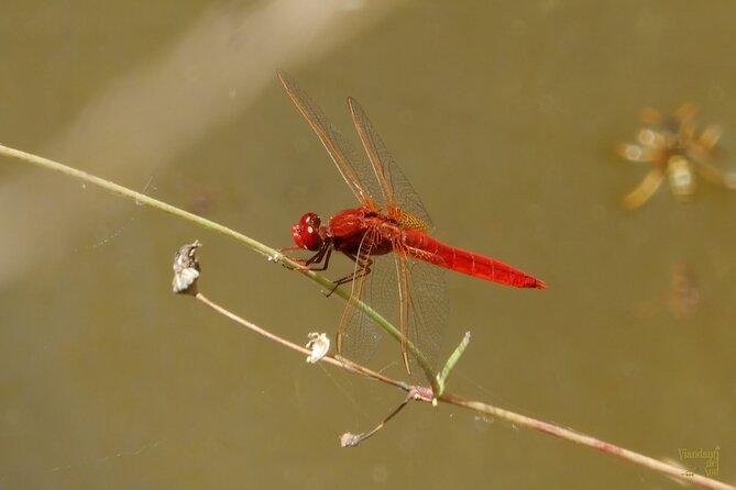 Querceti di Quasano: excursion in the Alta Murgia National Park - Explore the Wild Nature of Alta Murgia with a Guided Tour in Quasano