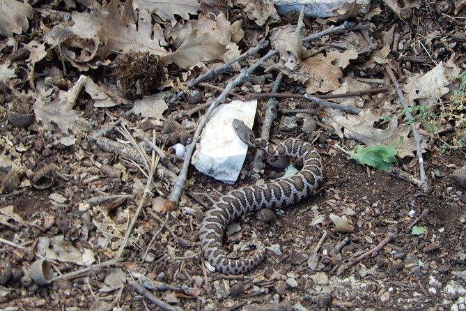 Querceti di Quasano: excursion in the Alta Murgia National Park - Discovering Quasano’s Historical and Cultural Landmarks