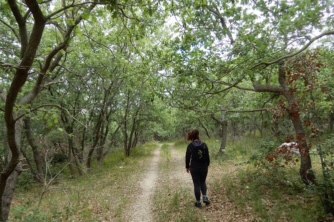 Querceti di Quasano: excursion in the Alta Murgia National Park - Exploring the Oak Forests and Shaded Paths