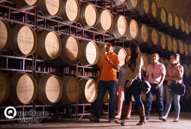 Querétaro: Art, Cheese and Wine Route - Tasting at Freixenet México’s Cellar and Estate