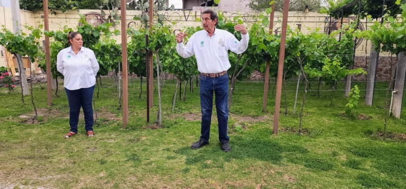 Querétaro: Bernal & Tequisquiapan Trip with Wine & Cheese - Overall Value and Experience