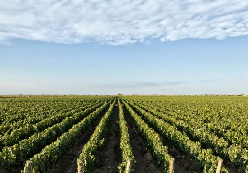 Queretaro: Cheese & Wine Tour (English) - Frequently Asked Questions