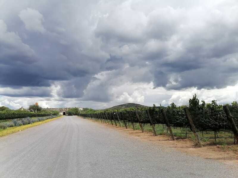 Querétaro: Experience Tour of Hacienda Atongo - How This Tour Compares to Similar Experiences