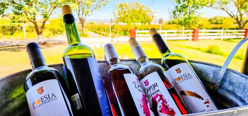 Querétaro: Haciendas, Vineyards, and Magical Towns Day Trip - The Wine and Cheese Experience