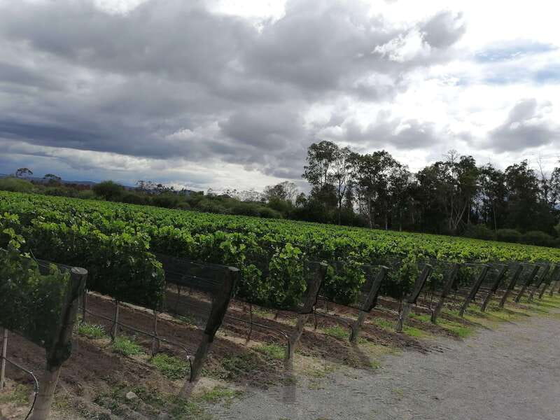 Querétaro: Haciendas, Vineyards, and Magical Towns Day Trip - What Sets This Tour Apart from Similar Options