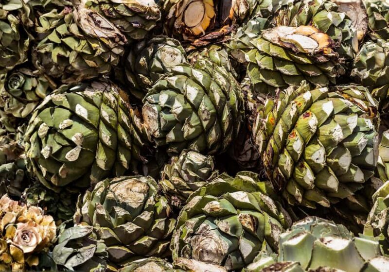 Querétaro: Independence Tour - Practical Details and Considerations