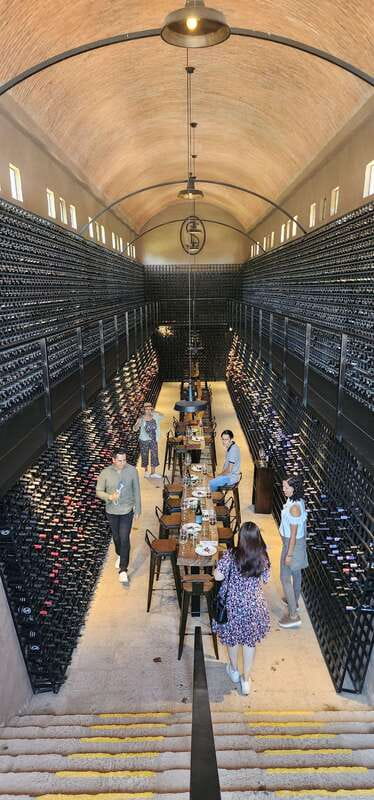 Querétaro: Independence Valley - Guanajuato Wine Tour - San Lucas Winery: Guided Tour and Wine Tasting