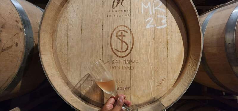 Querétaro: Independence Valley - Guanajuato Wine Tour - Value for Money and Experience Highlights