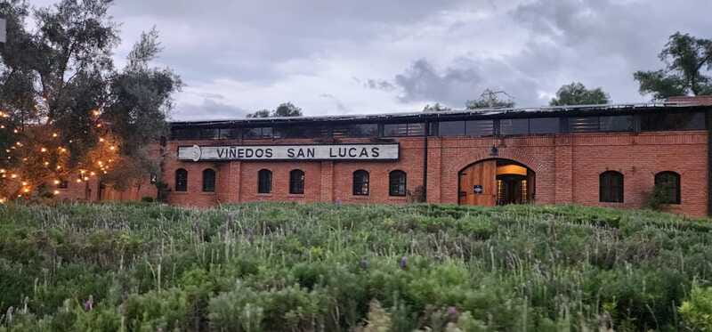 Querétaro: Independence Valley - Guanajuato Wine Tour - Why Choose This Guanajuato Wine and History Tour?