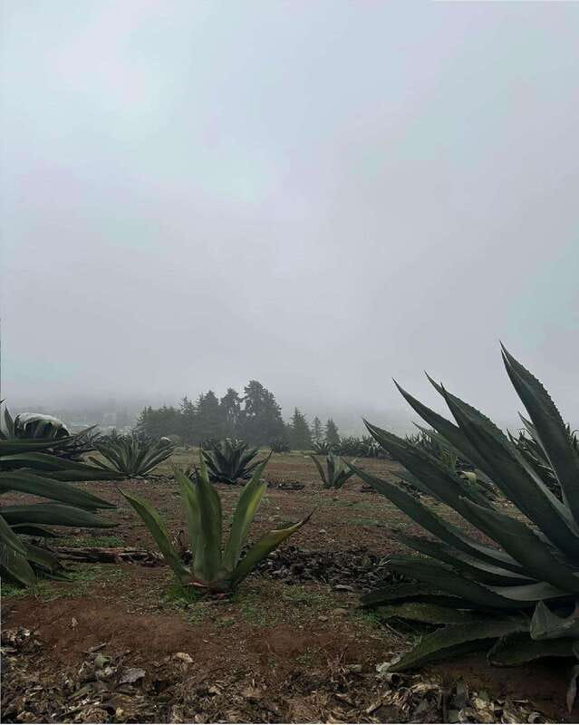 Quetzalapan + Chignahuapan: visit the sphere factory and its surroundings - Visiting the Quetzalapan Waterfalls and Hydro Plant