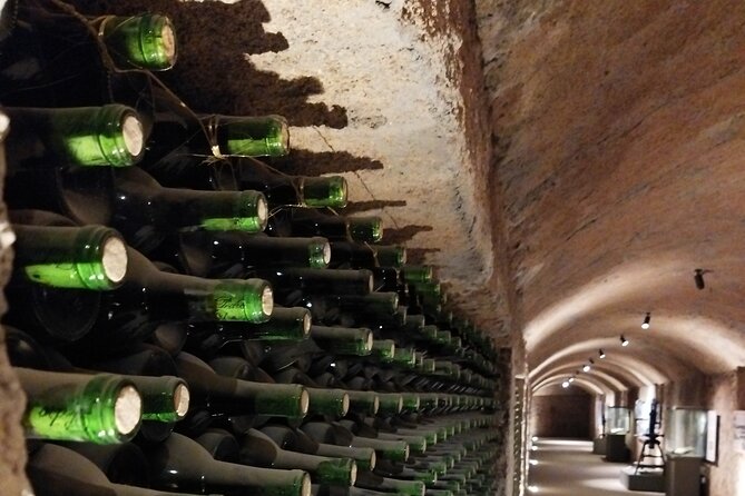 Quiero mas vino, valle de Guadalupe Tours - Key Points