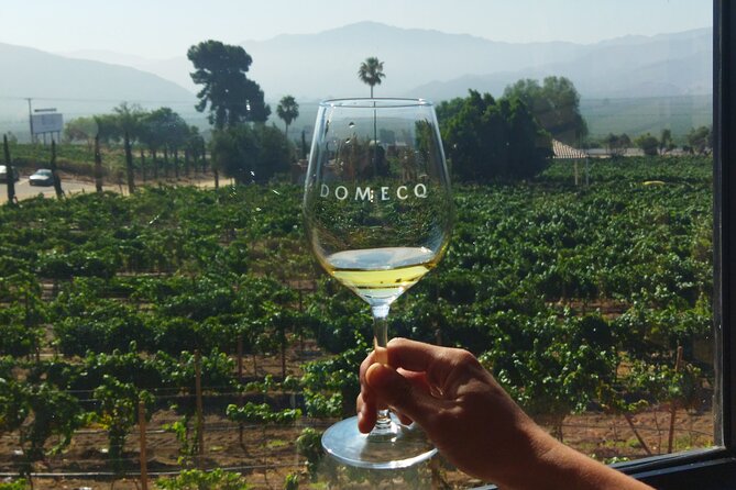 Quiero mas vino, valle de Guadalupe Tours - The Role of the Guide and Tour Logistics