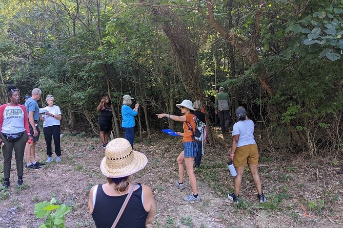 Quindaro Ruins Urban Hike - Why Choose This Tour?