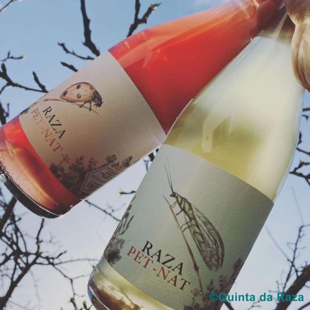 Quinta da Raza Natural Wines - Quinta da Raza Natural Wines: An Authentic Experience of Portugal’s Heritage
