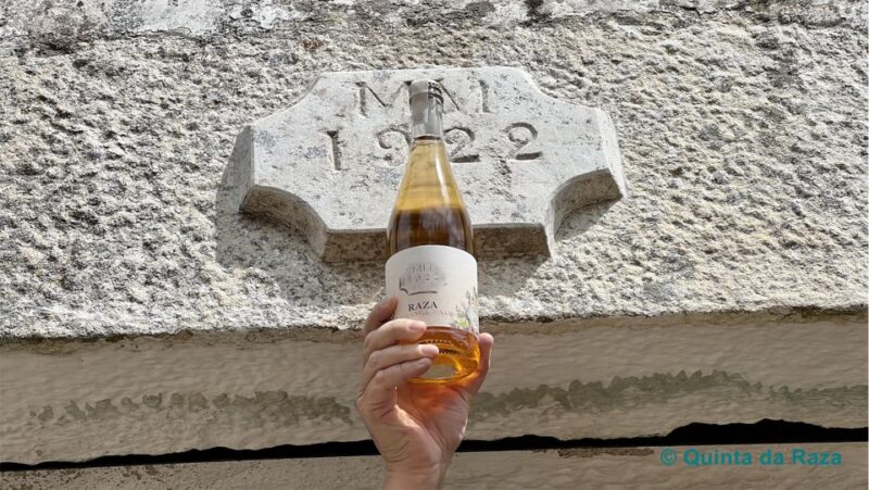 Quinta da Raza Natural Wines - What Sets This Tour Apart from Others