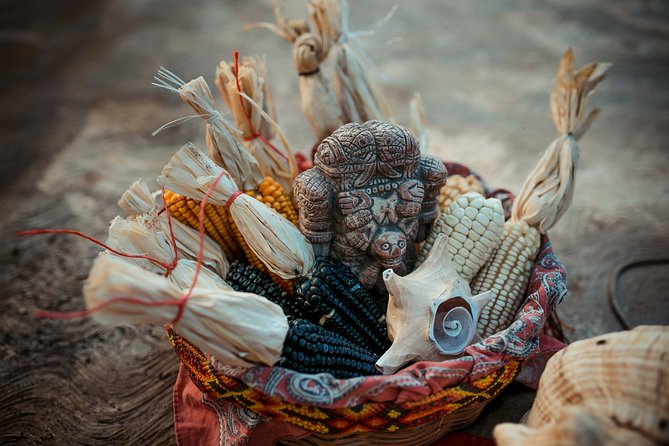 Quintana Roo 5 hours Chocolate Maya Ceremony and Temazcal Maya Ritual Tour - Practical Details: Transportation and Logistics