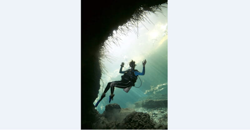 Quintana Roo: Cenote Dive - Starting Point and Transport from Dive Mike