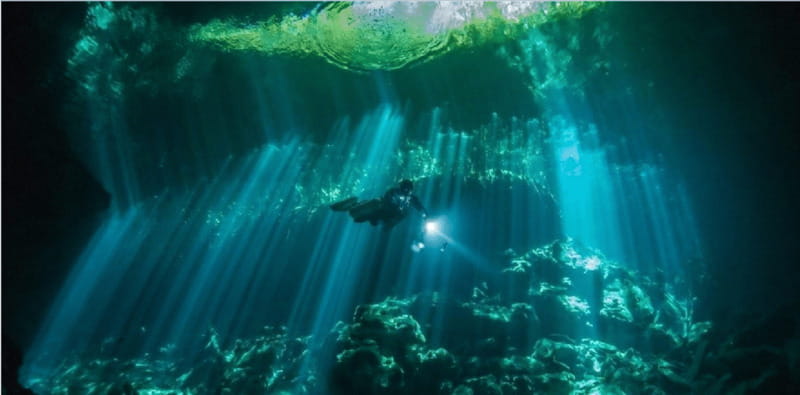 Quintana Roo: Cenote Dive - Underwater Highlights: Caverns, Formations, and Marine Life