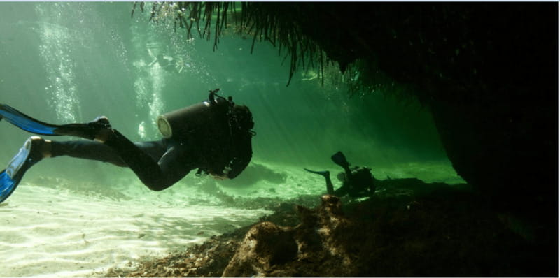 Quintana Roo: Cenote Dive - The Expert Guidance and Group Experience